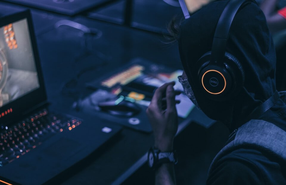 A Genetic Oddity May Give Octopuses and Squids Their Smarts 3 tech news post featured img 16